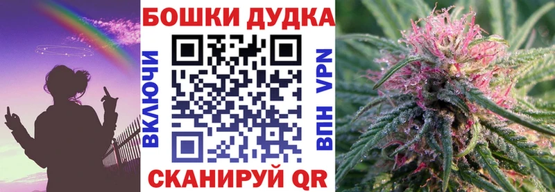 ЭКСТАЗИ Западная Двина