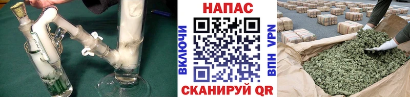 МАРИХУАНА Amnesia  Западная Двина 